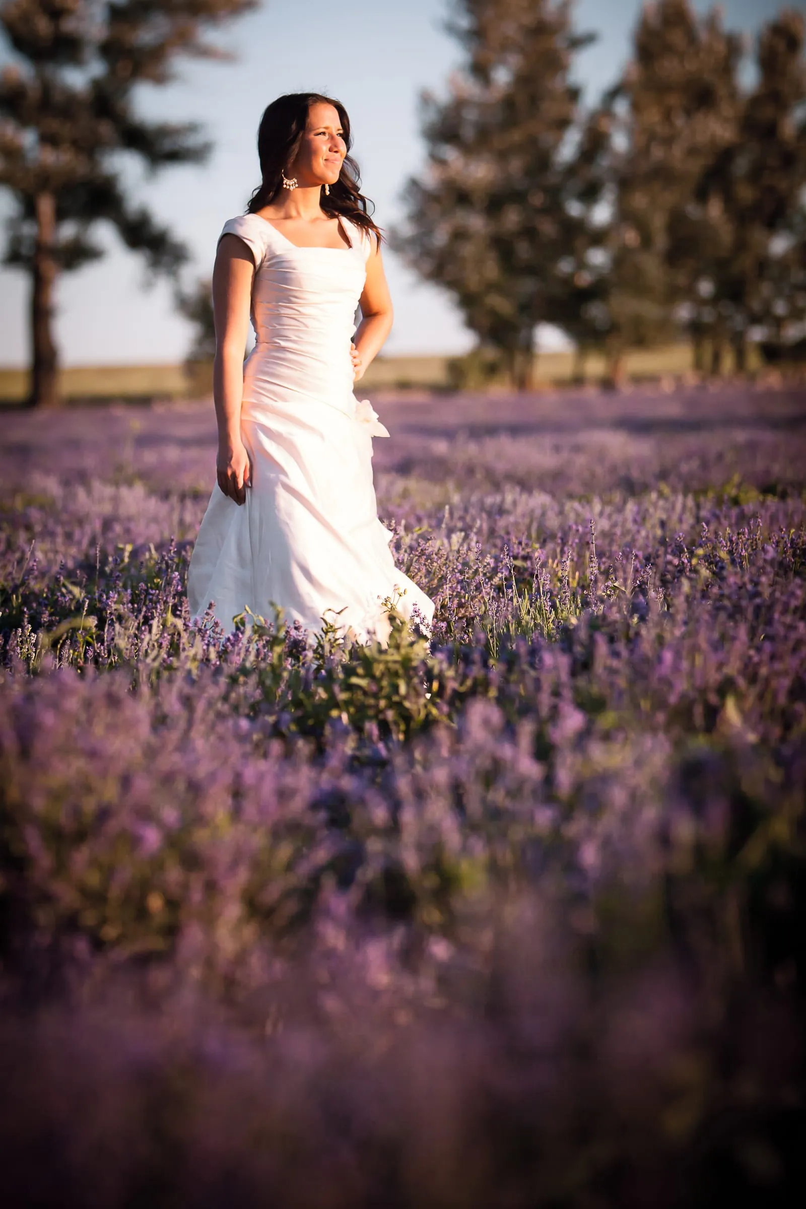 Bride standing in a purple lavender field at dusk